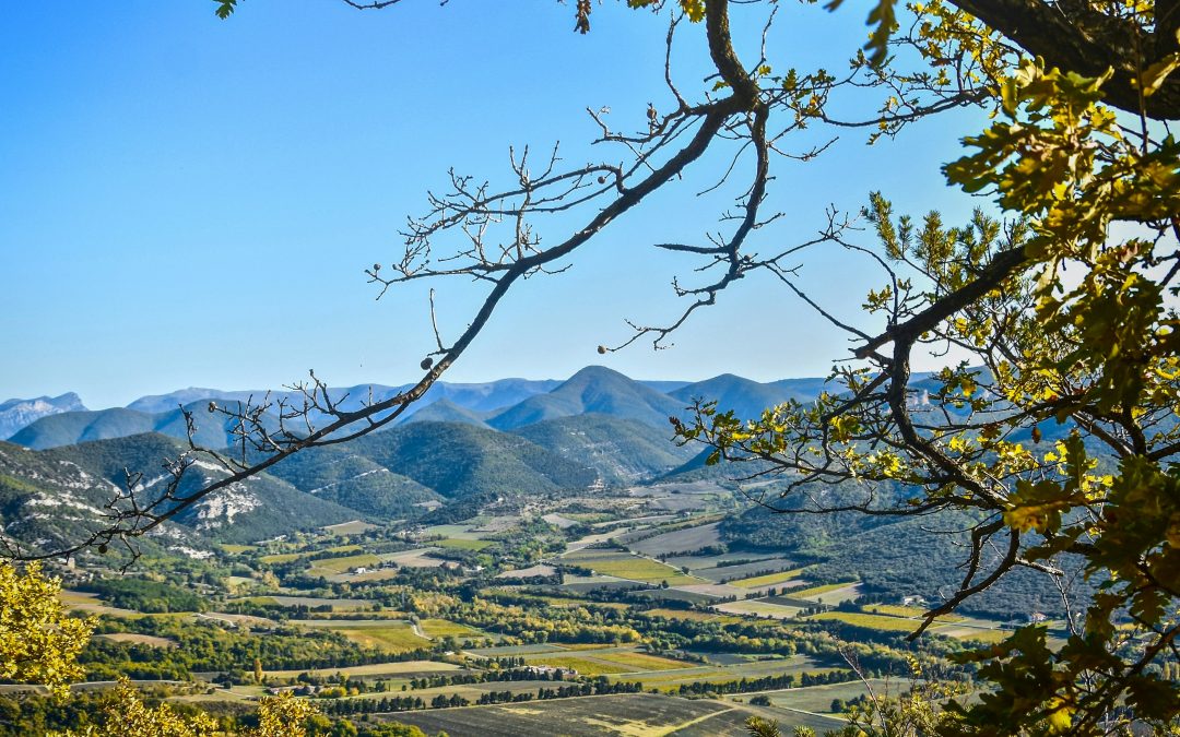 Coordinatrice/teur de MSP – Voironnais – Isère